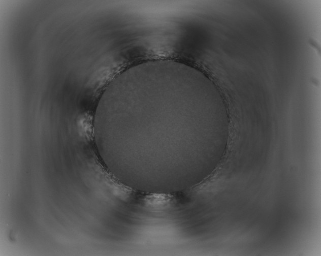 X0000103230672200809111531
