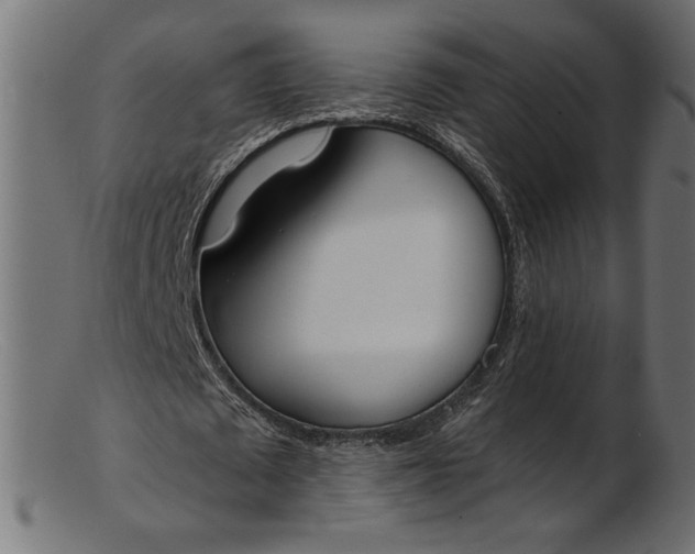 X0000103230673200809111530