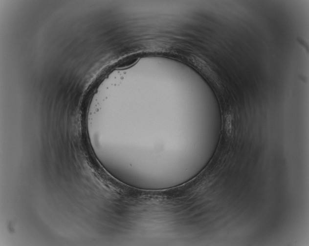 X0000103230676200809111530