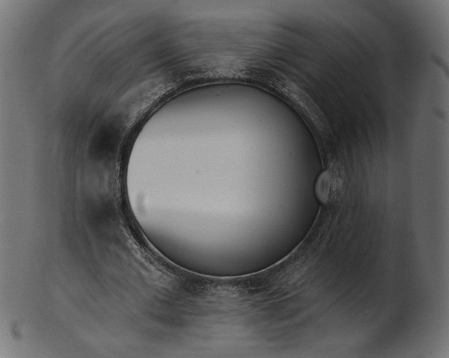 X0000103230677200809111530