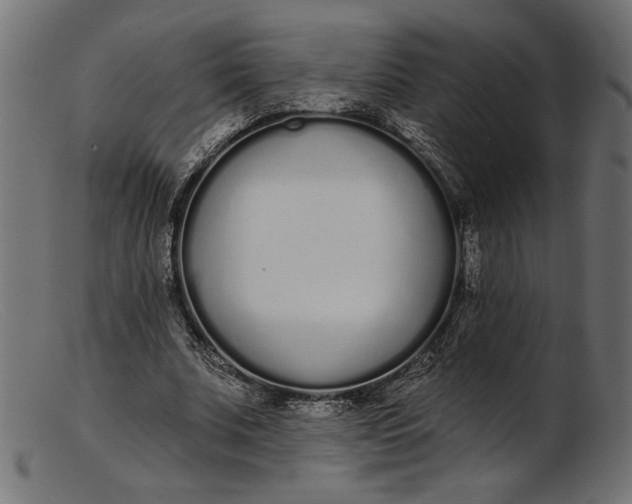 X0000103230679200809111530