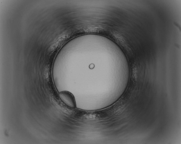 X0000103230687200809111530