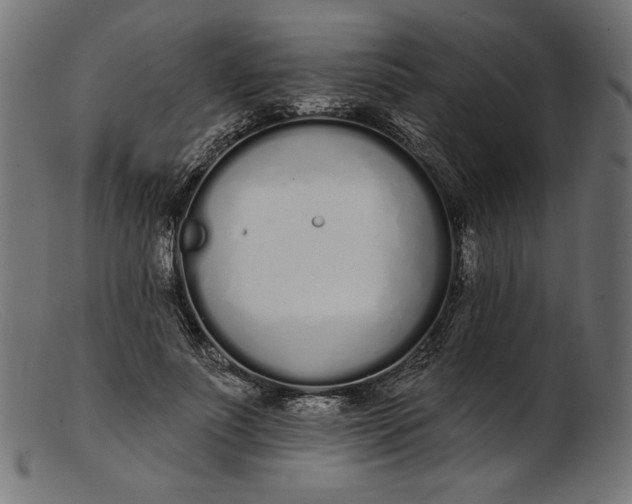 X0000103230691200809111530