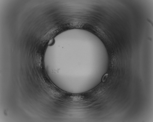 X0000103230693200809111530