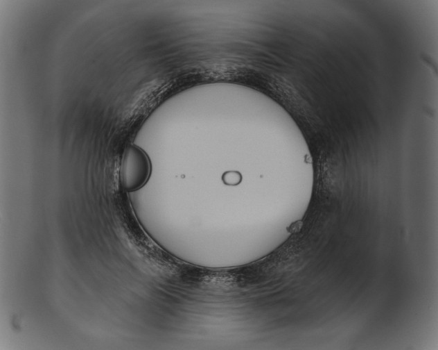 X0000103230694200809111530