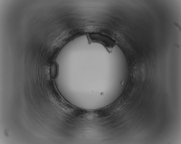 X0000103230696200809111530