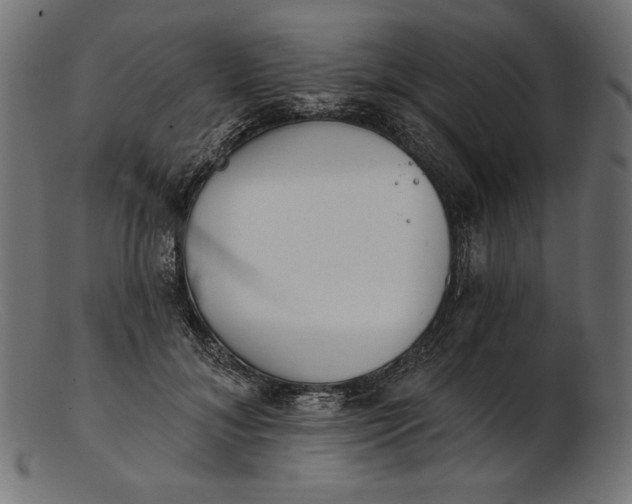 X0000103230700200809111530