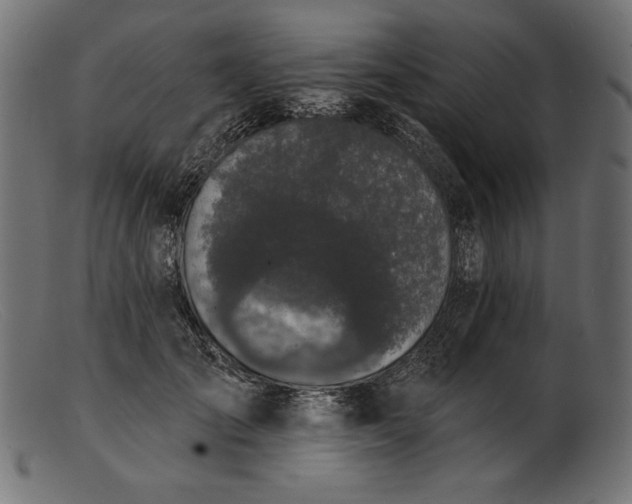 X0000103230701200809111530