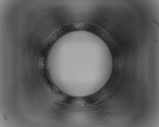 X0000103230702200809111530