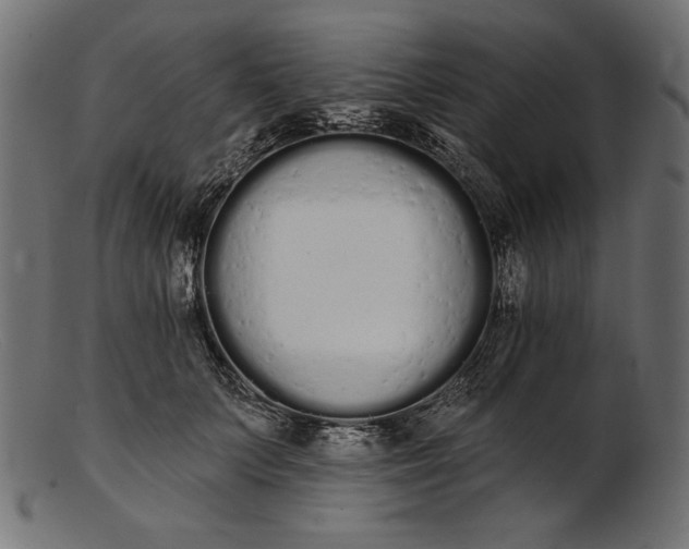 X0000103230703200809111530