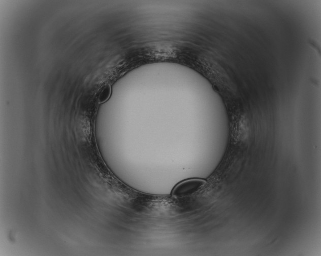 X0000103230704200809111530