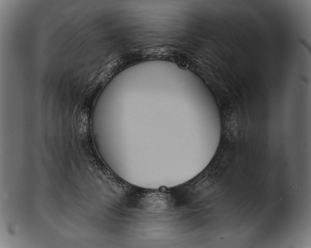 X0000103230708200809111530