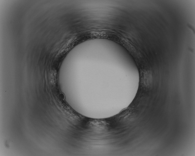 X0000103230712200809111530