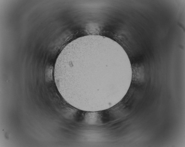 X0000103230717200809111530