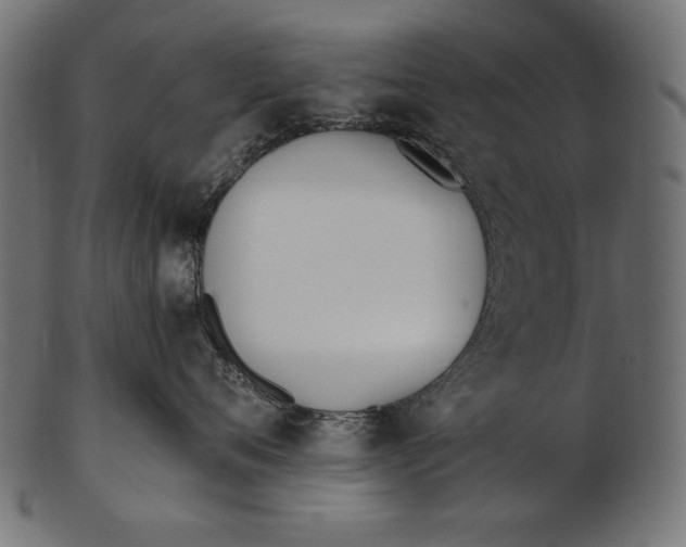 X0000103230720200809111530
