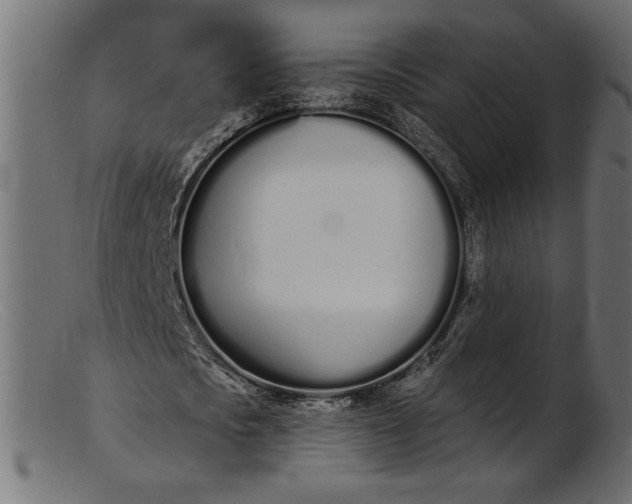 X0000103230721200809111529