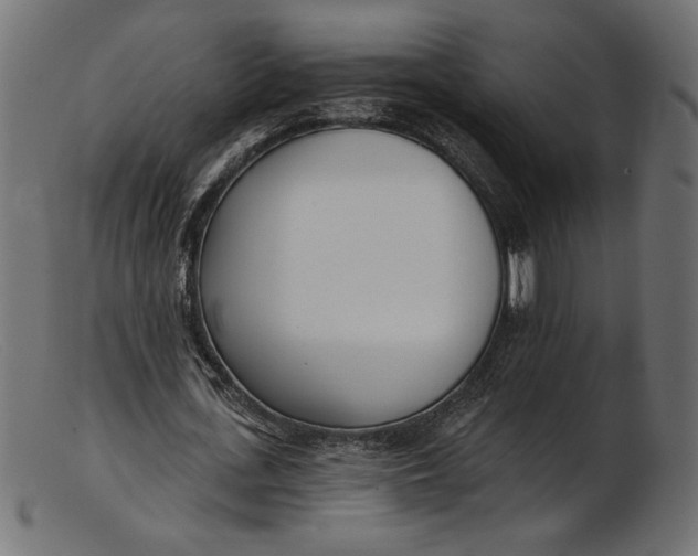 X0000103230723200809111529