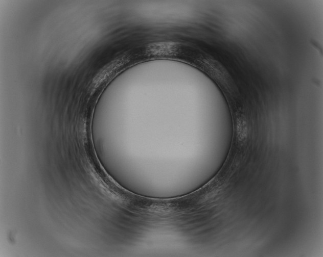X0000103230725200809111529