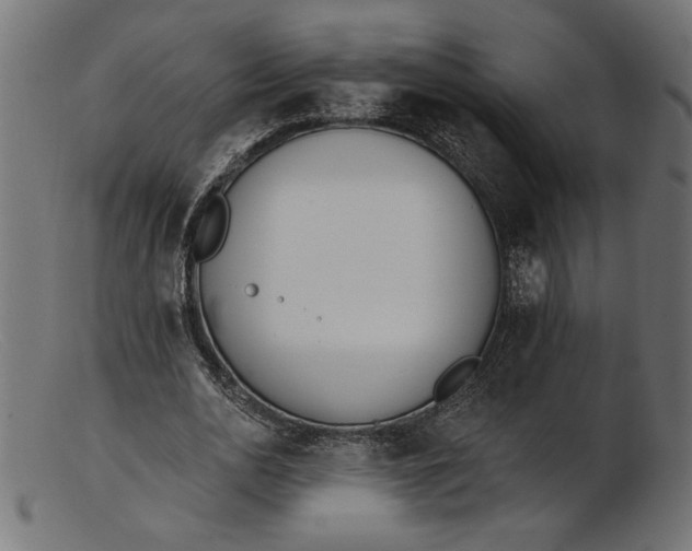 X0000103230726200809111529