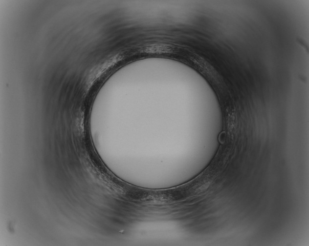 X0000103230727200809111529