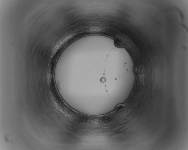 X0000103230728200809111529