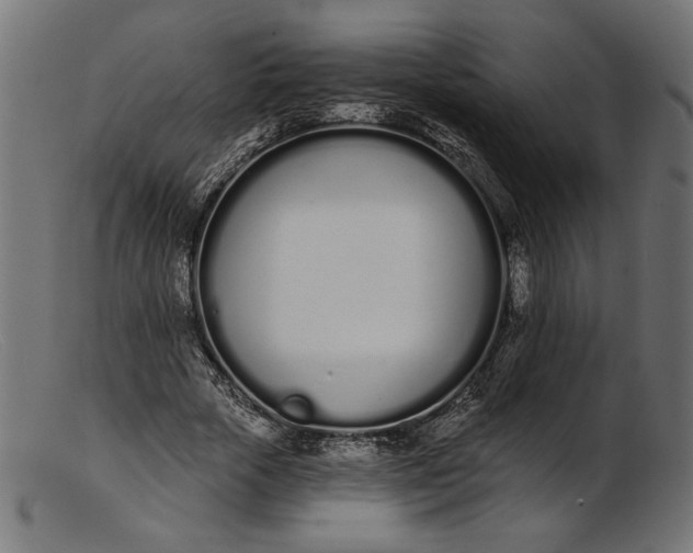 X0000103230729200809111529