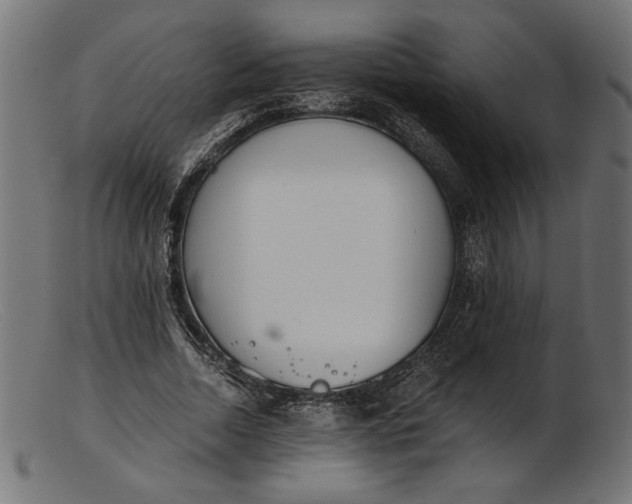 X0000103230730200809111529