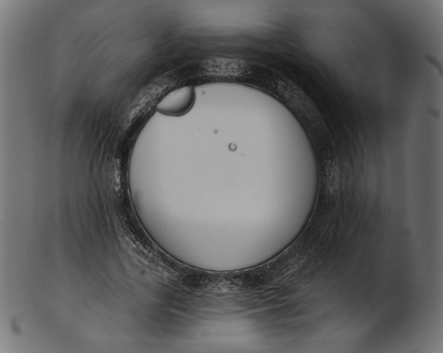 X0000103230731200809111529