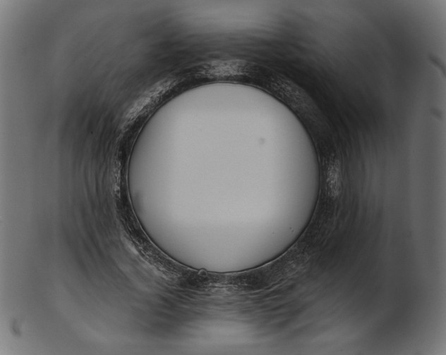 X0000103230732200809111529