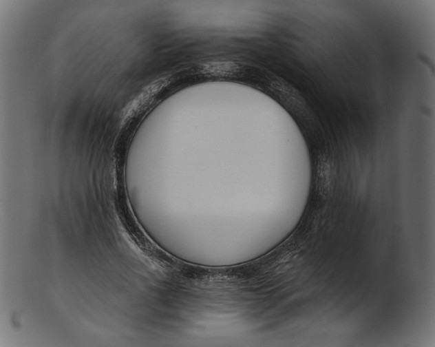 X0000103230734200809111529