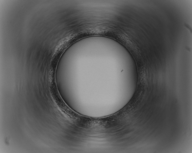 X0000103230736200809111529