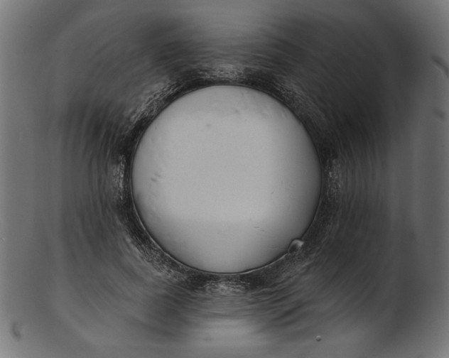 X0000103230739200809111529