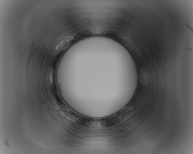 X0000103230740200809111529