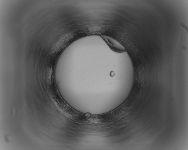X0000103230742200809111529