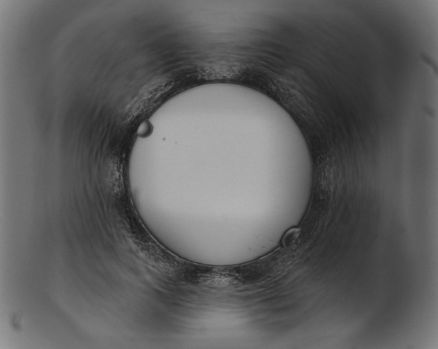 X0000103230743200809111529