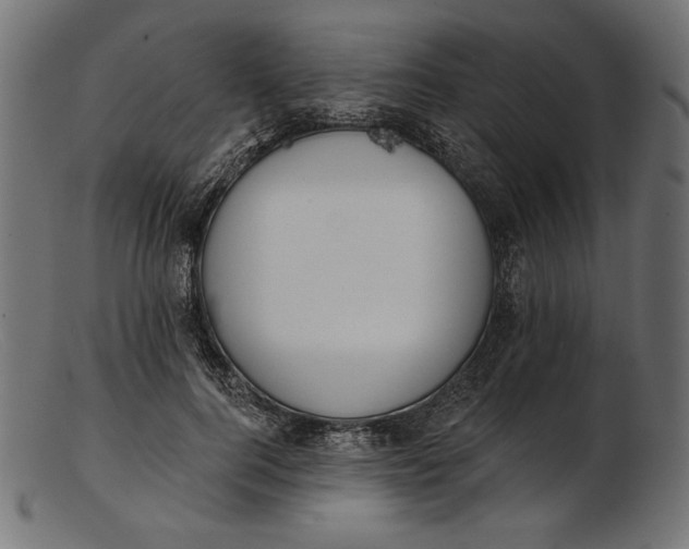 X0000103230744200809111529