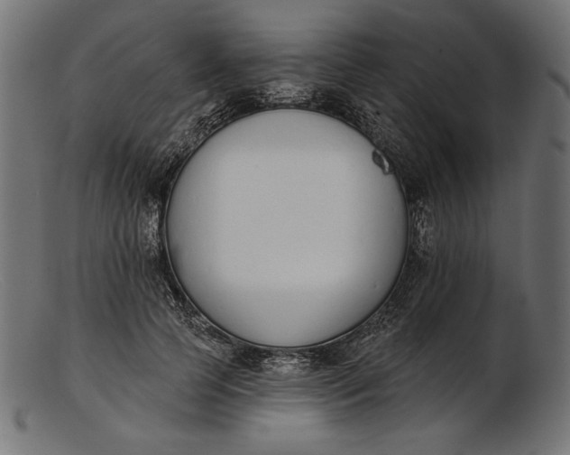 X0000103230745200809111529