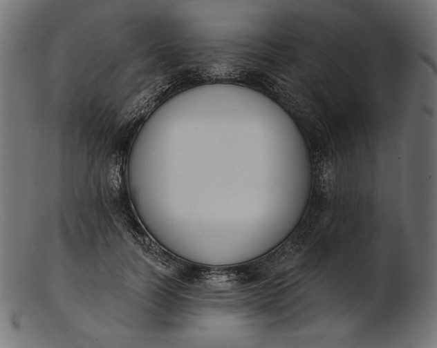 X0000103230746200809111529