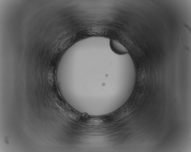 X0000103230749200809111529