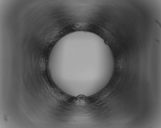 X0000103230751200809111529