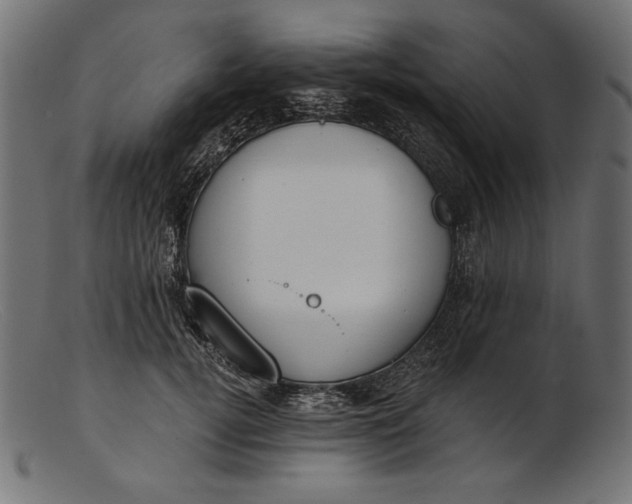 X0000103230752200809111529
