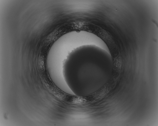 X0000103230754200809111530