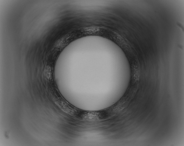 X0000103230758200809111530