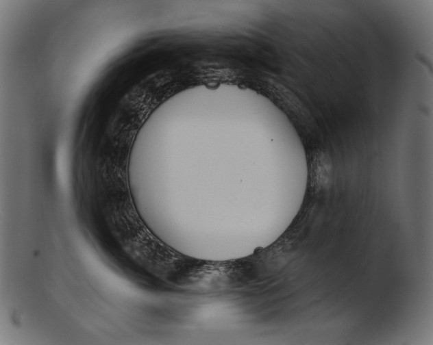 X0000103230764200809111530