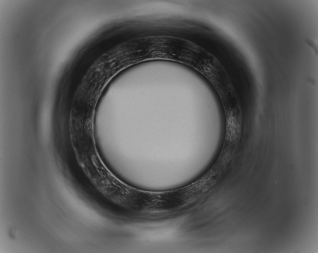 X0000103230765200809111530