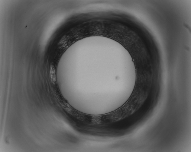 X0000103230766200809111530