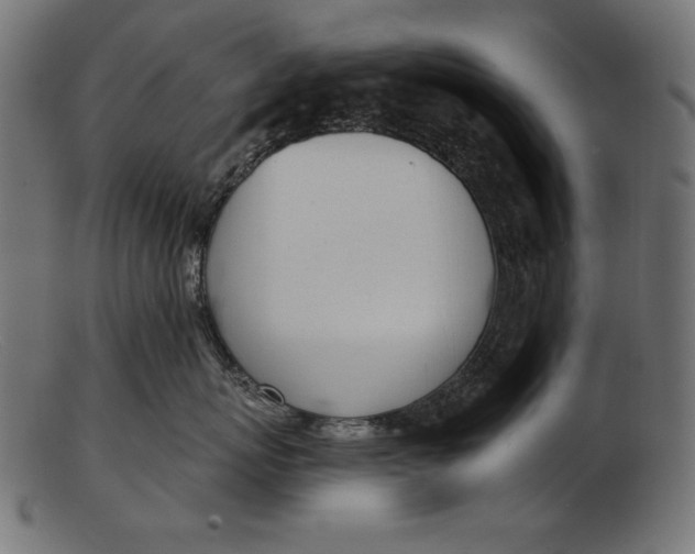 X0000103230767200809111530