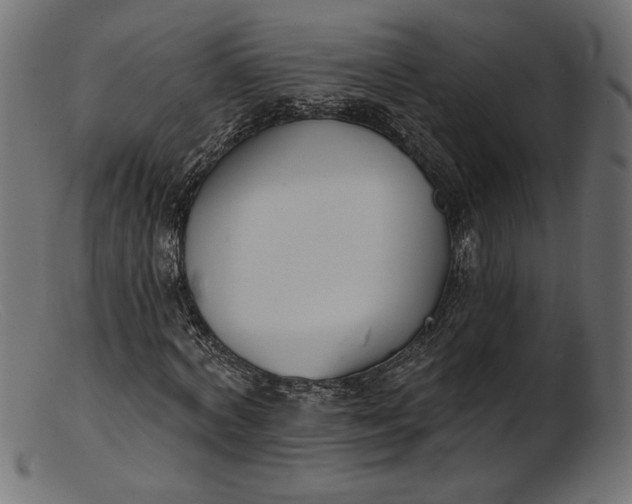 X0000103230772200809111529
