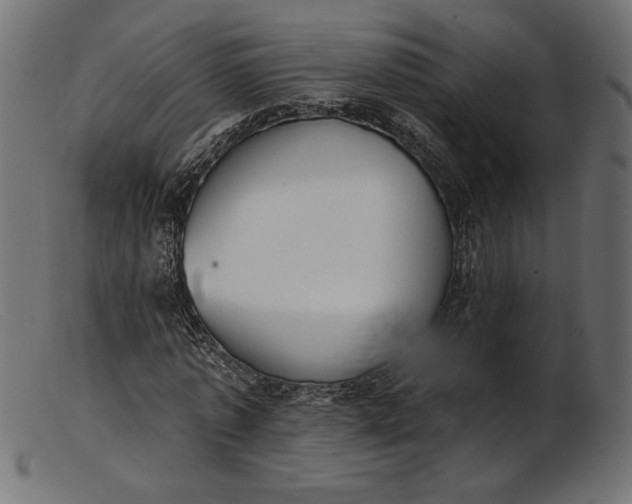 X0000103230773200809111529