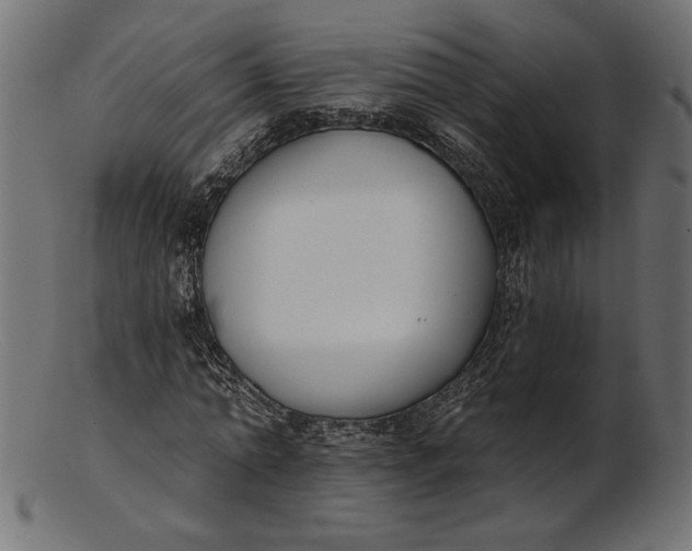 X0000103230774200809111529